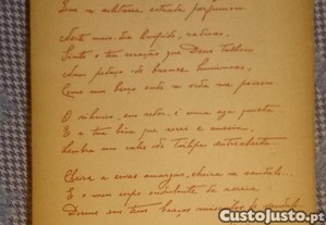imagem_7
