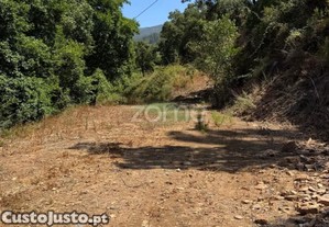Terreno Rústico Com 2000M2 - Monchique