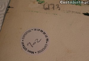 imagem_13