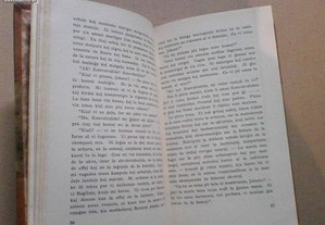 imagem_6