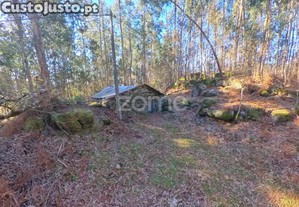 Terreno Com Corte De Chão De Castro*
