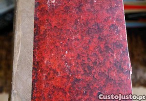imagem_4