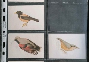Calendário da colecção de 48 pássaros da edição de 1989   0,50