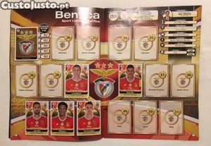 imagem_3