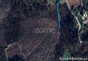 Terreno Florestal Sito Em Guimarei!