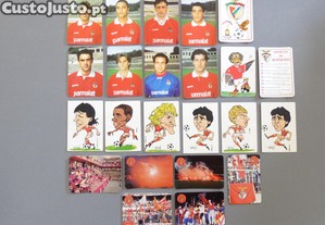 imagem_7