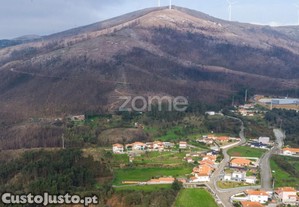 Terreno Florestal Urbanizável Com 42.000 M2 -...