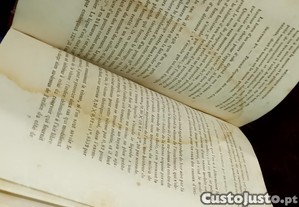 imagem_10