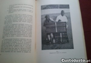 imagem_11