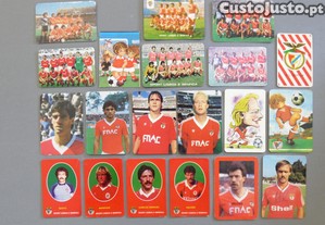 imagem_6