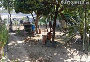 imagem_28