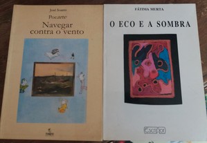 Obras de José Soares e Fátima Murta