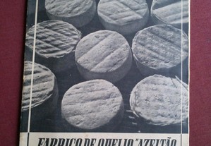 Ernesto Burguete-Fabrico de Queijo Azeitão-1942