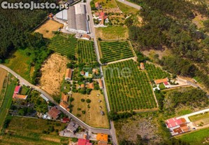 Quinta Kiwis, 1,7Ha, 2 Casas, Piscina, Estrada...