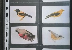 Calendários de pássaros uma colecção numerada com a edição em 1990  0,50