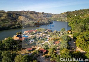 imagem_14