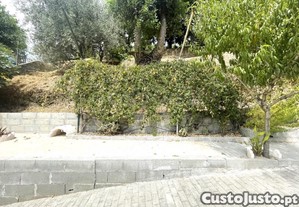 imagem_37
