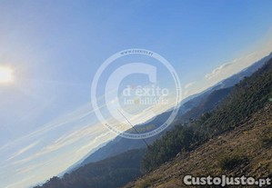 imagem_9