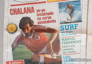 imagem_6
