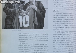 imagem_8