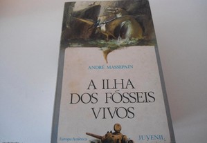 imagem_6