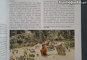 imagem_6