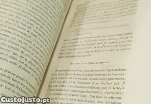 imagem_18