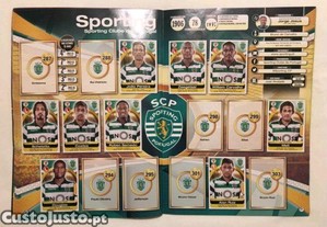 imagem_7