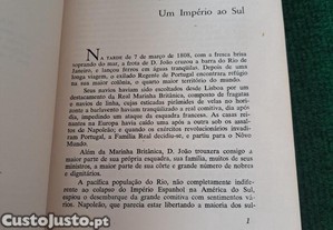 imagem_7