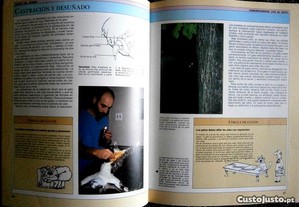 imagem_6