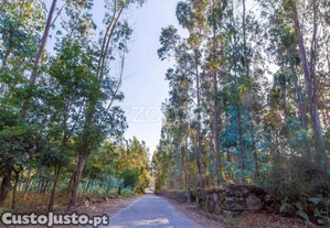 Terreno Rústico Com 13.470 M2 Em Monte Córdova...