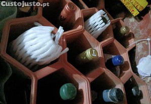 imagem_1