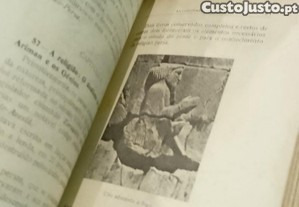 imagem_7