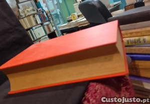 imagem_5