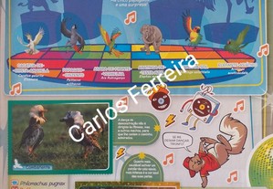 imagem_5
