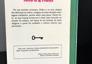 imagem_2