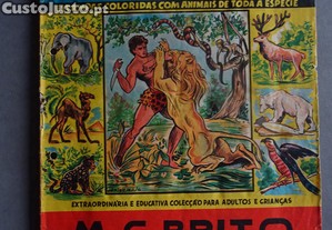 imagem_1