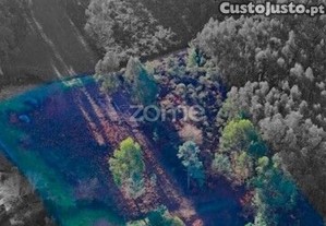 Terreno Rústico Localizado Na Póvoa De Lanhoso