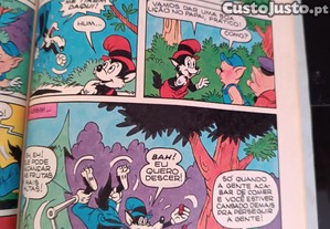imagem_6