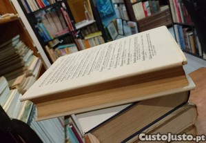 imagem_11