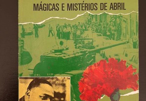 imagem_7
