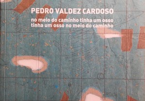 Livro - no meio do caminho tinha um osso... - Pedro Valdez Cardoso