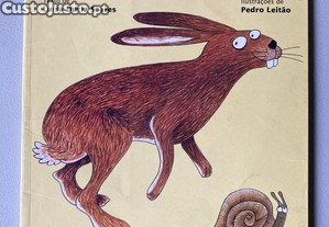imagem_1