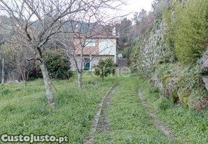 Quinta Com Duas Casas Independentes Cinfães Do...