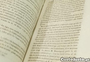 imagem_17