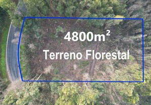 Terreno Florestal c/ 4.800m²