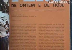 imagem_7