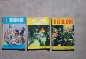 imagem_3