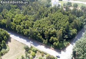 Terreno Urbanizável Com Área De 8.170 M2 -...