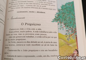 imagem_6